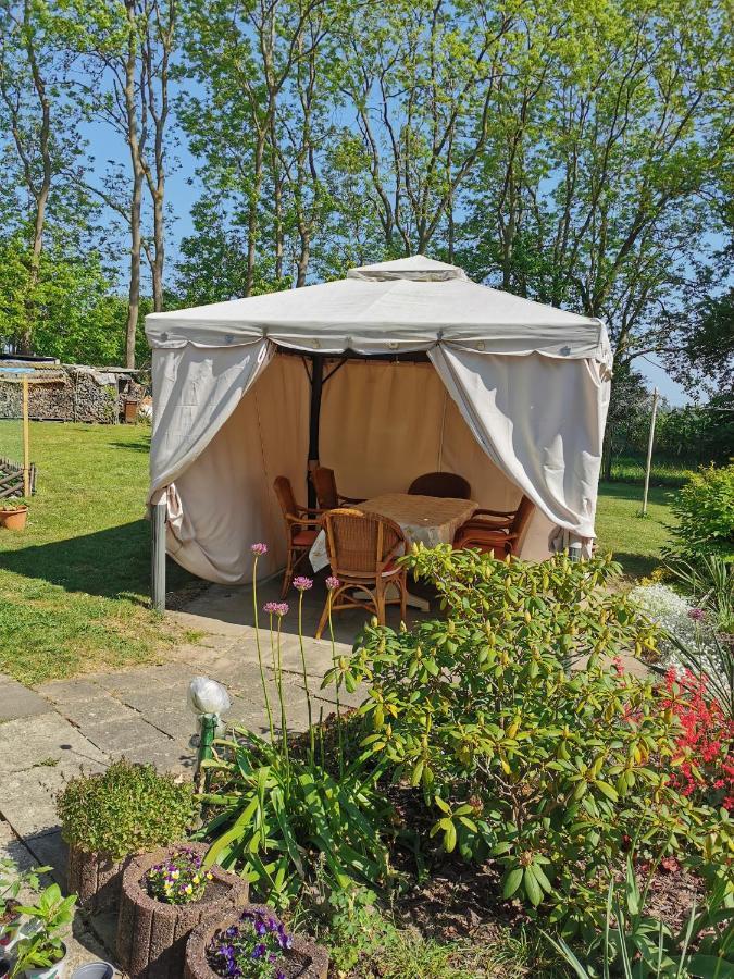Ferienwohnung Am Stadtrand Garz Ruegen Eksteriør billede